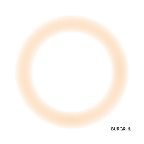 Burgr &